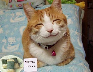 downloadfile-16.jpeg